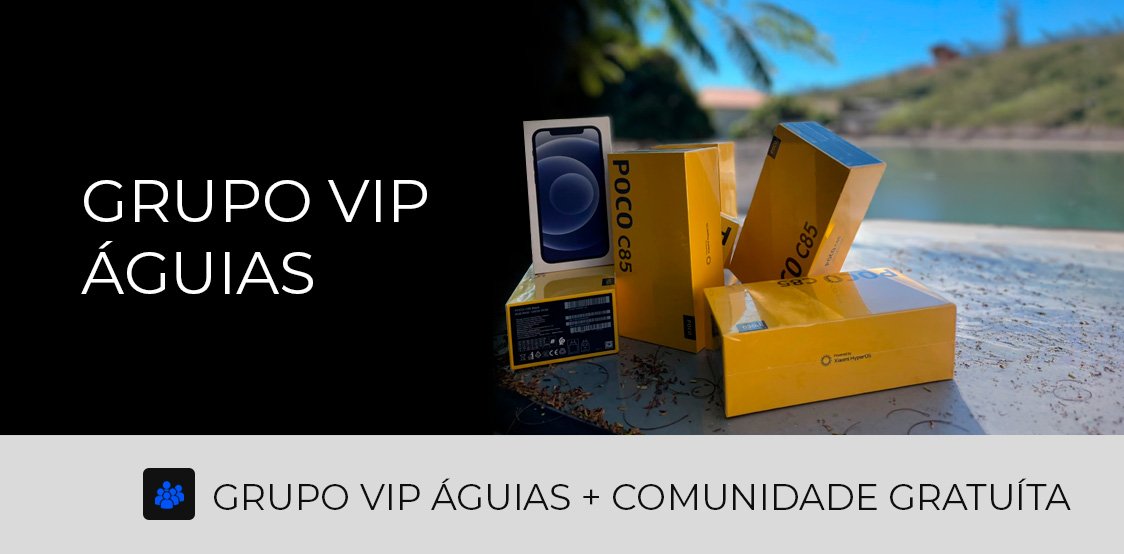 Grupo VIP águias